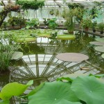 Botanical Garden