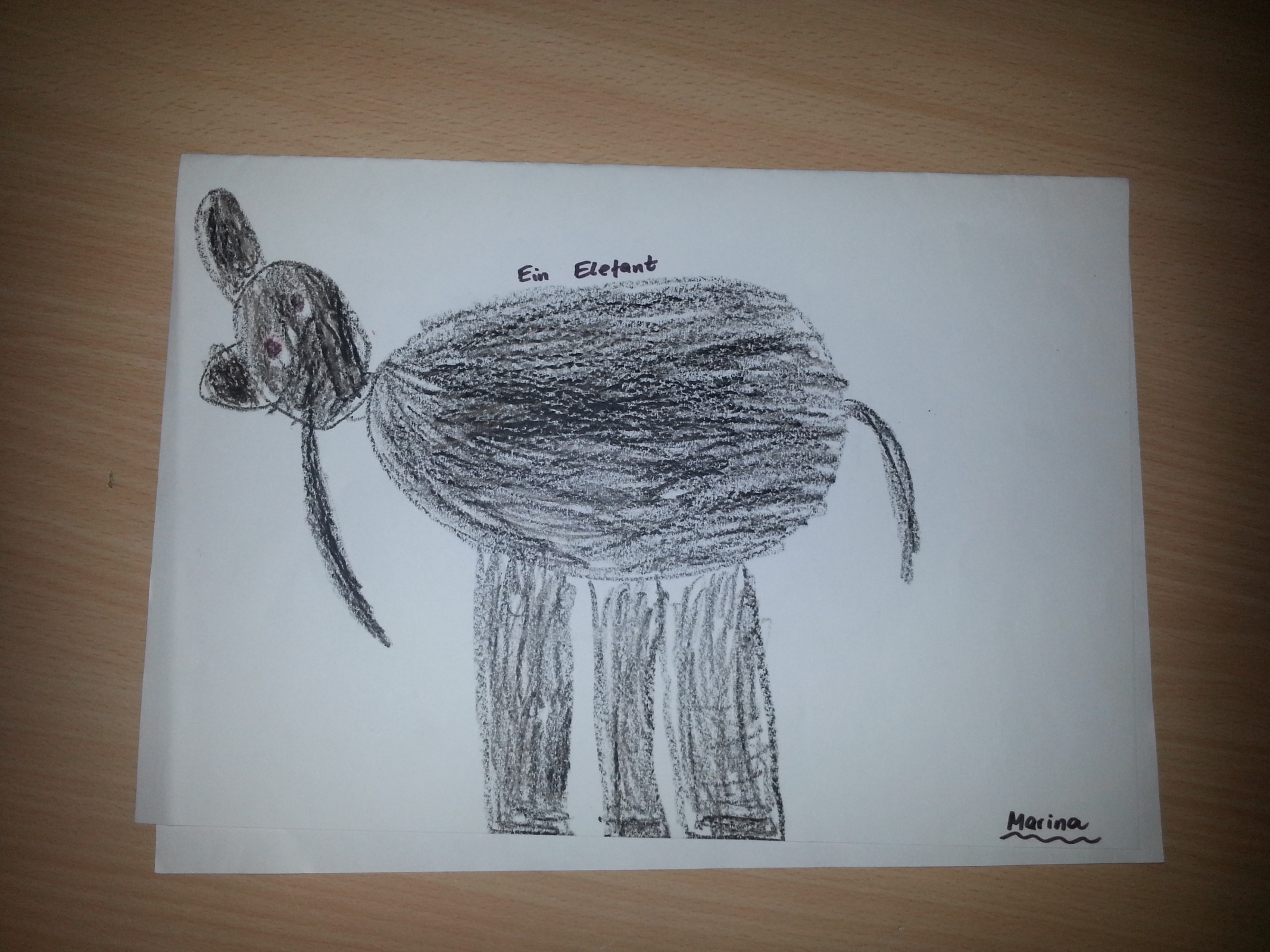 Elephant